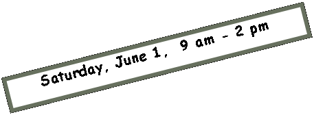Text Box: Saturday, June 1,  9 am - 2 pm